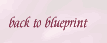 back to Blueprint